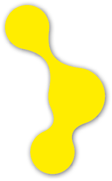 Polygon